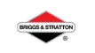 Assistência técnica Briggs & Stratton Brasília